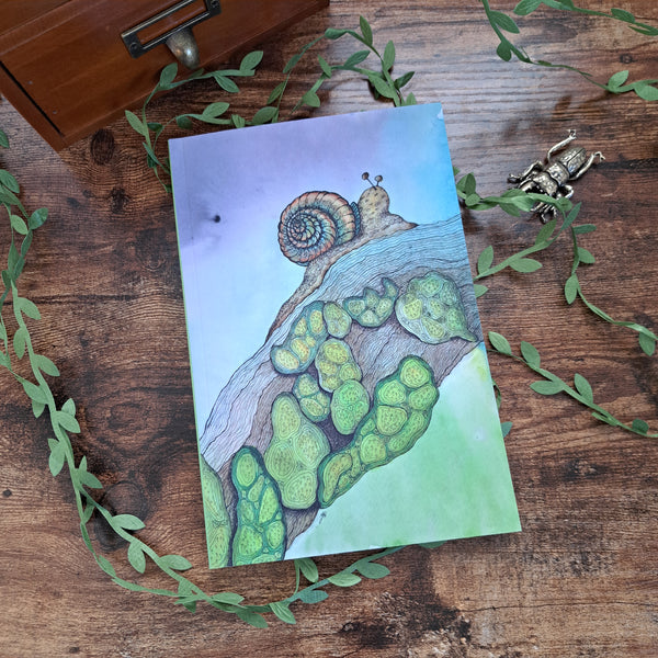 Slow Lane Journal