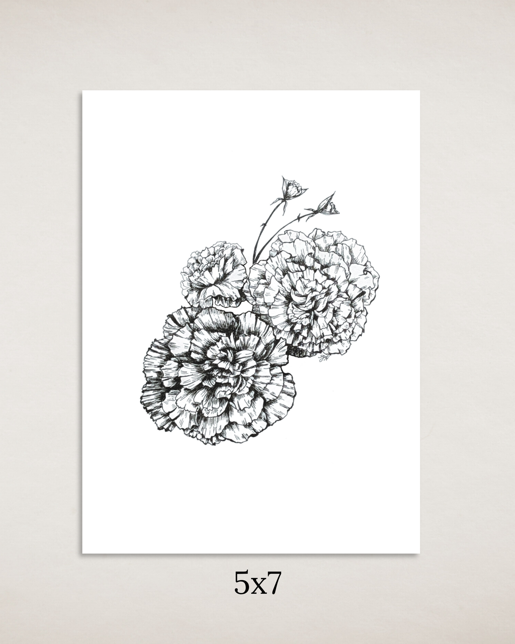 Carnations in Ink Art Print