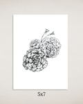 Carnations in Ink Art Print