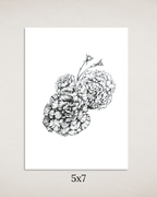 Carnations in Ink Art Print