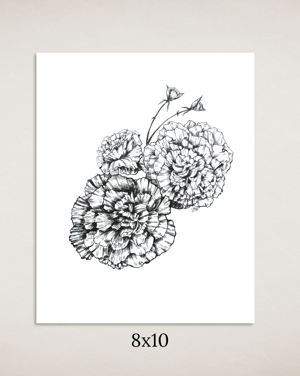 Carnations in Ink Art Print