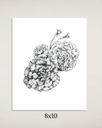 Carnations in Ink Art Print