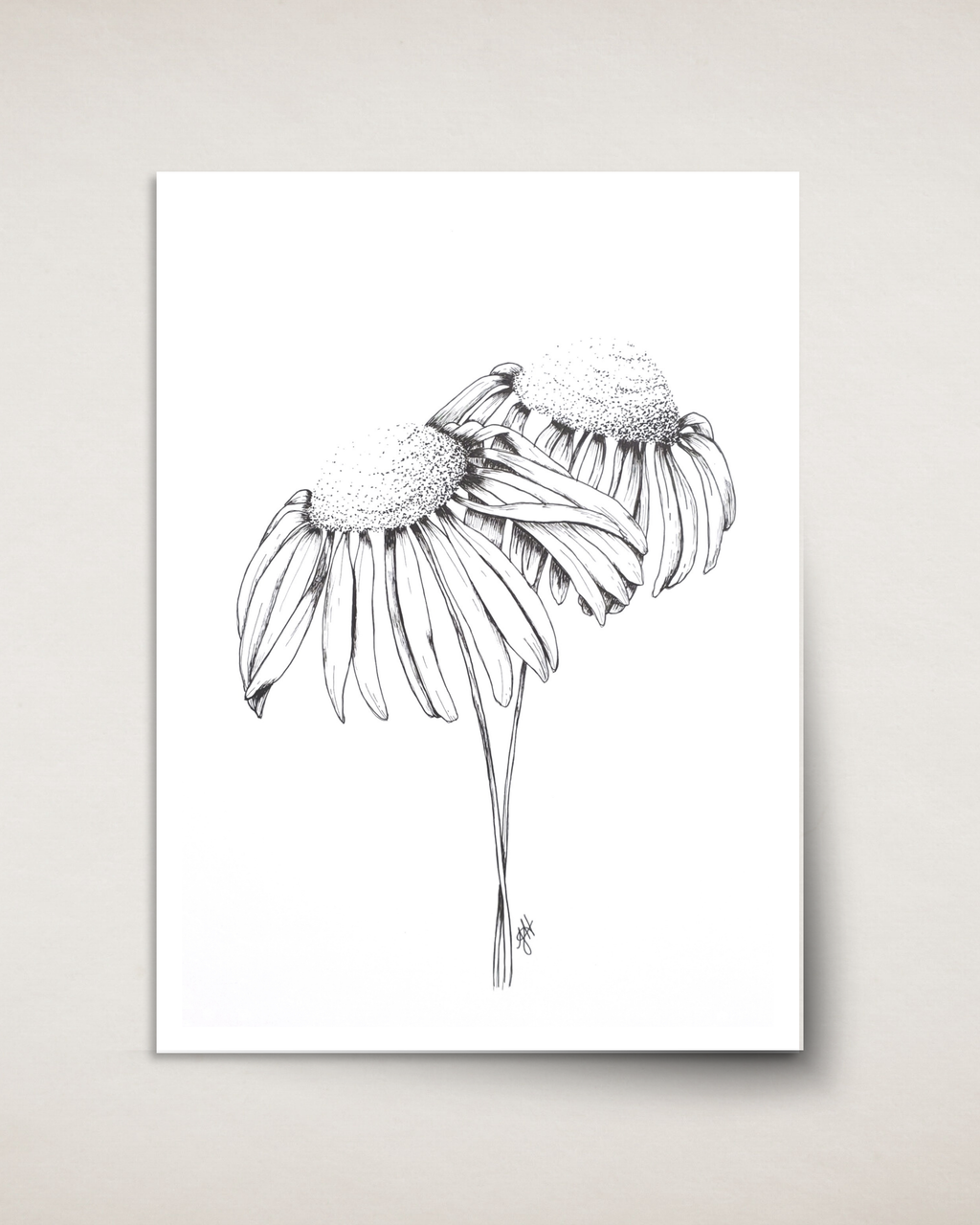 Coneflowers in Ink— Card