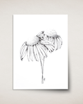Coneflowers in Ink— Card