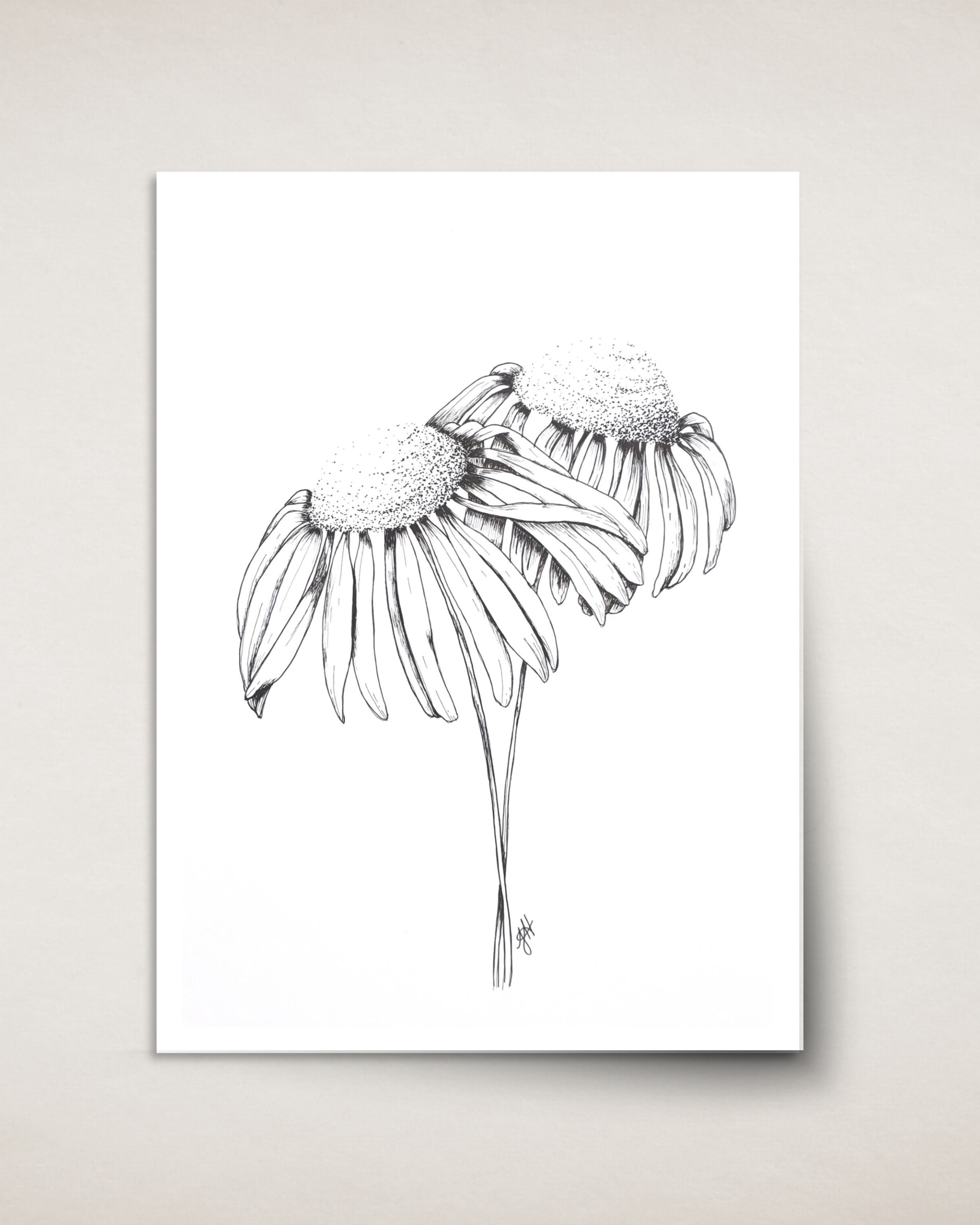 Coneflowers in Ink— Card