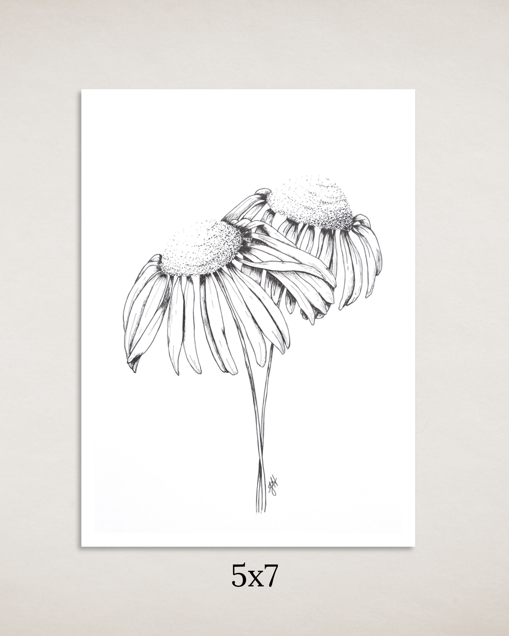 Coneflowers in Ink Art Print