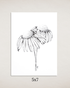 Coneflowers in Ink Art Print