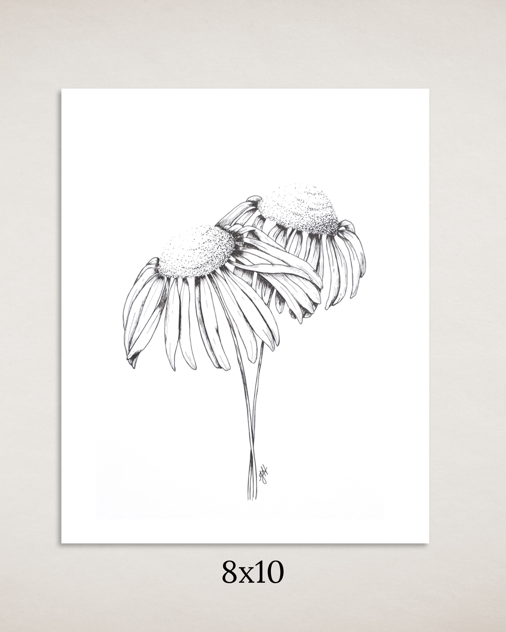 Coneflowers in Ink Art Print