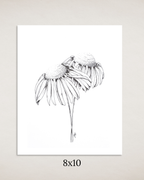 Coneflowers in Ink Art Print