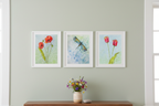 Gallery Wall Grouping 1 - Poppies, Dragonfly, Tulips