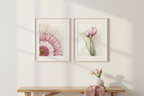 Gallery Wall Grouping 2 - Pink Gerbera & Pink Tulips