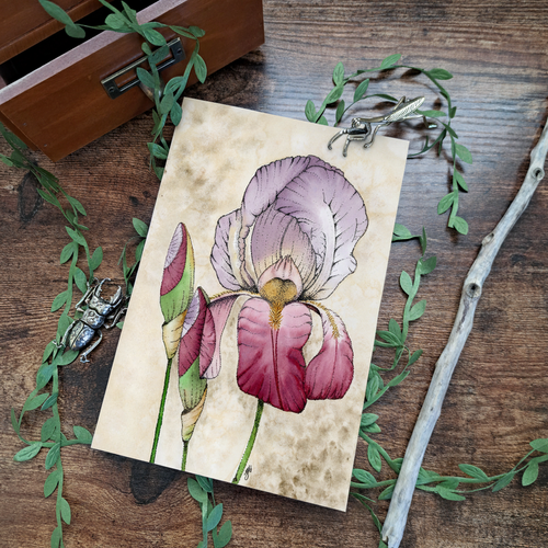 Irises Journal — Flat Lay Mockup