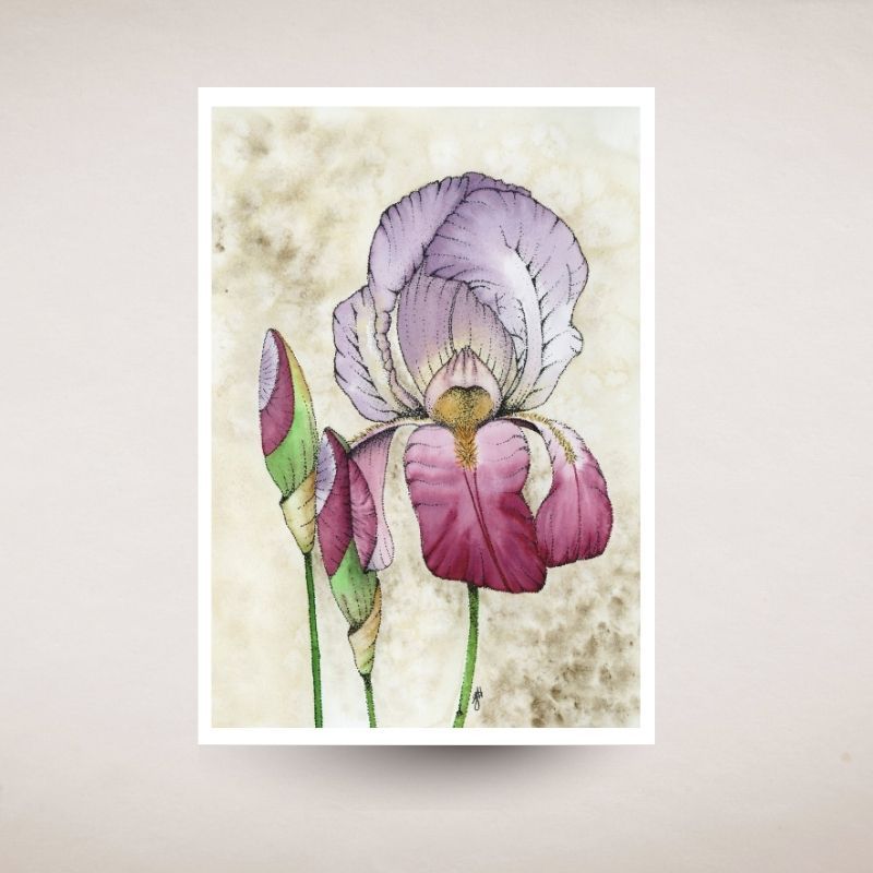 Art print card of a purple and pink iris with green leaves on a textured beige background