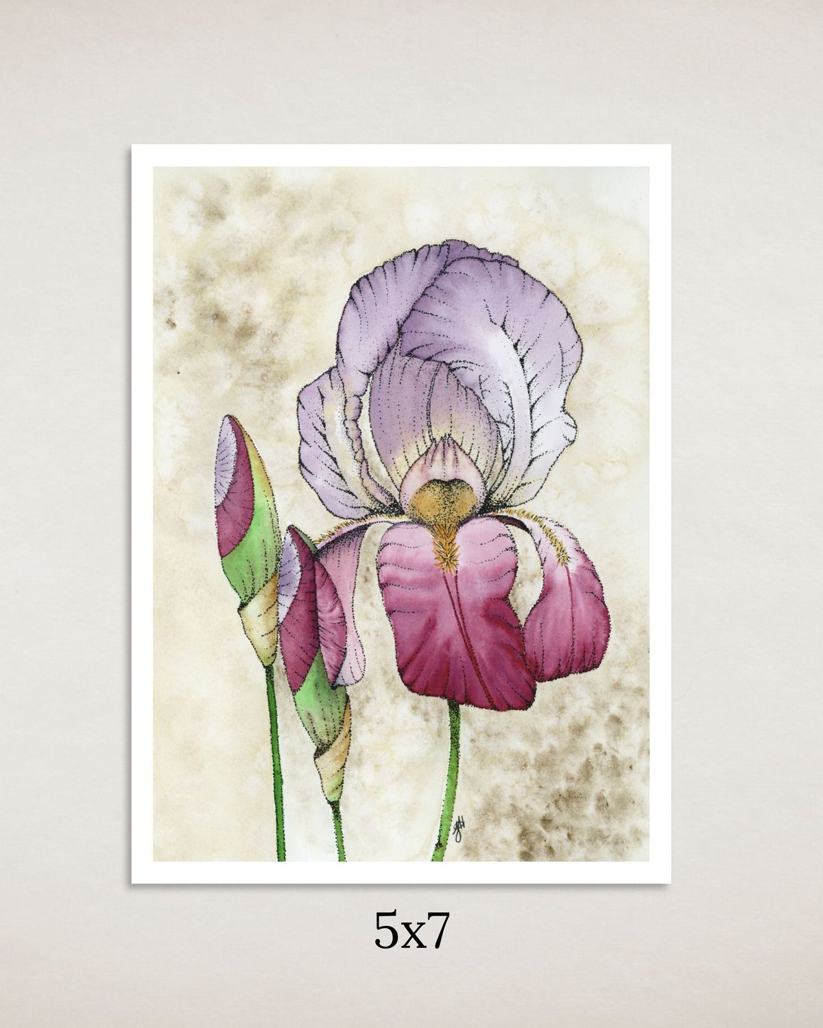 Irises Art Print