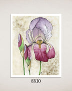 Irises Art Print