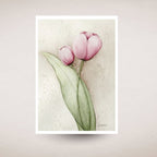 Card art print of two pink tulips on a textured beige background
