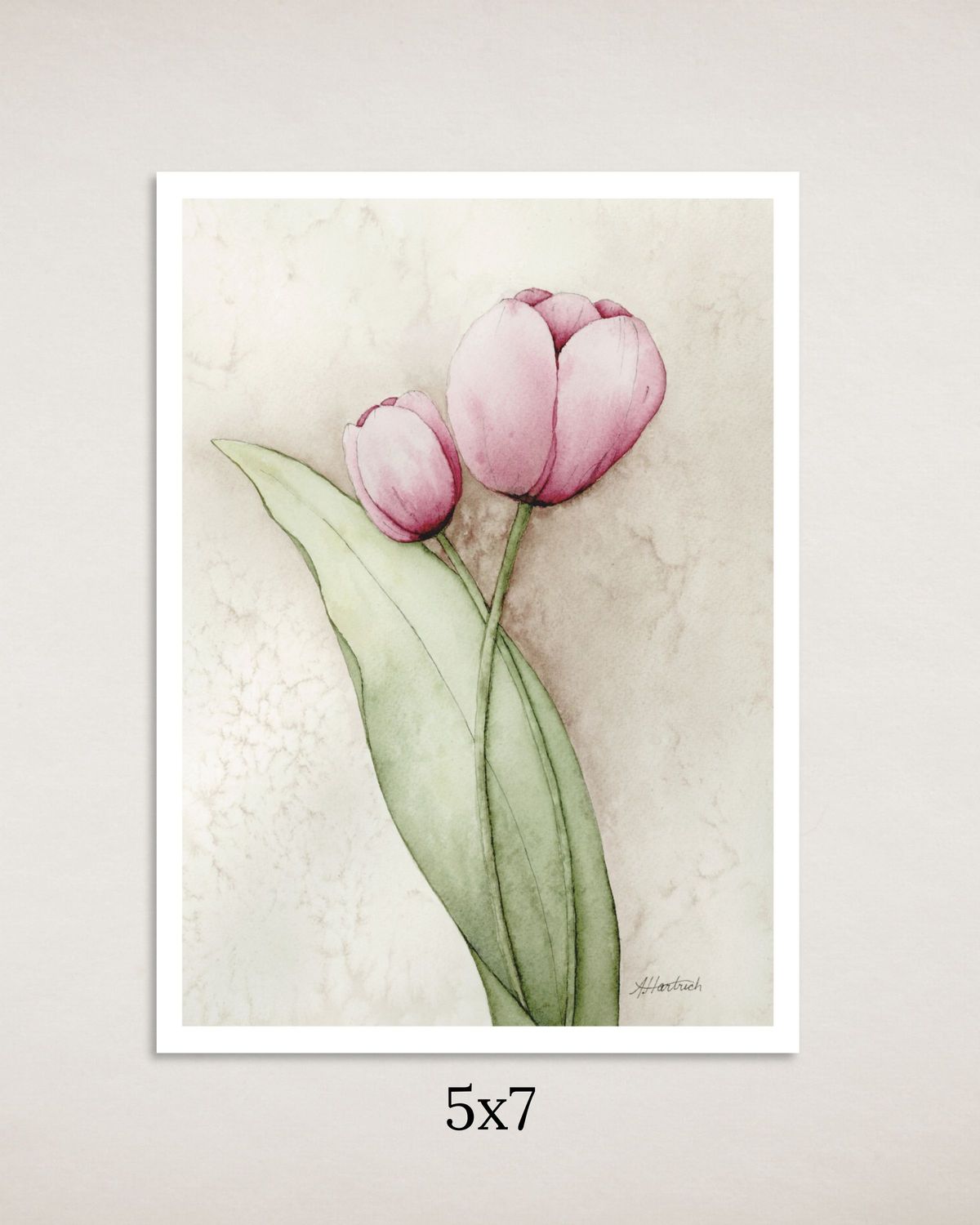 Pink Tulips Art Print