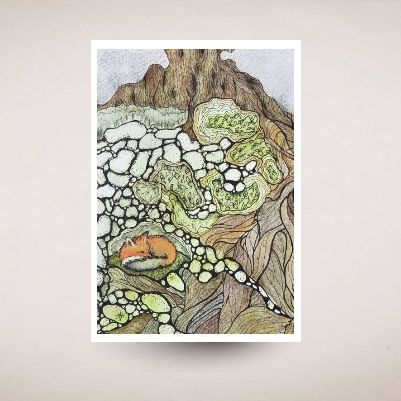 Illustration of a fox nestled among rocks and plants on a textured surface.