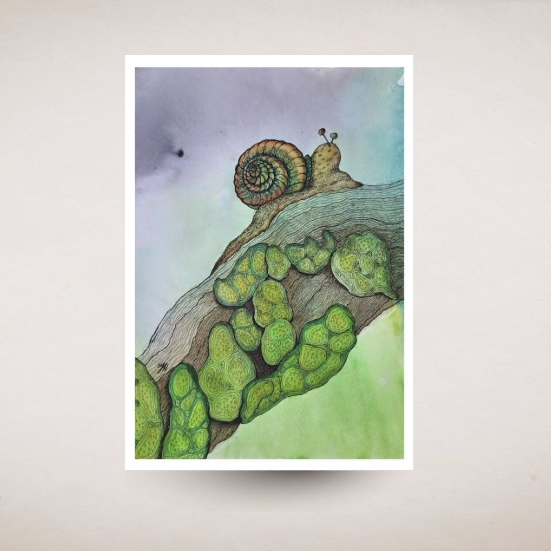 Illustration of a snail on a branch with green moss against a light background