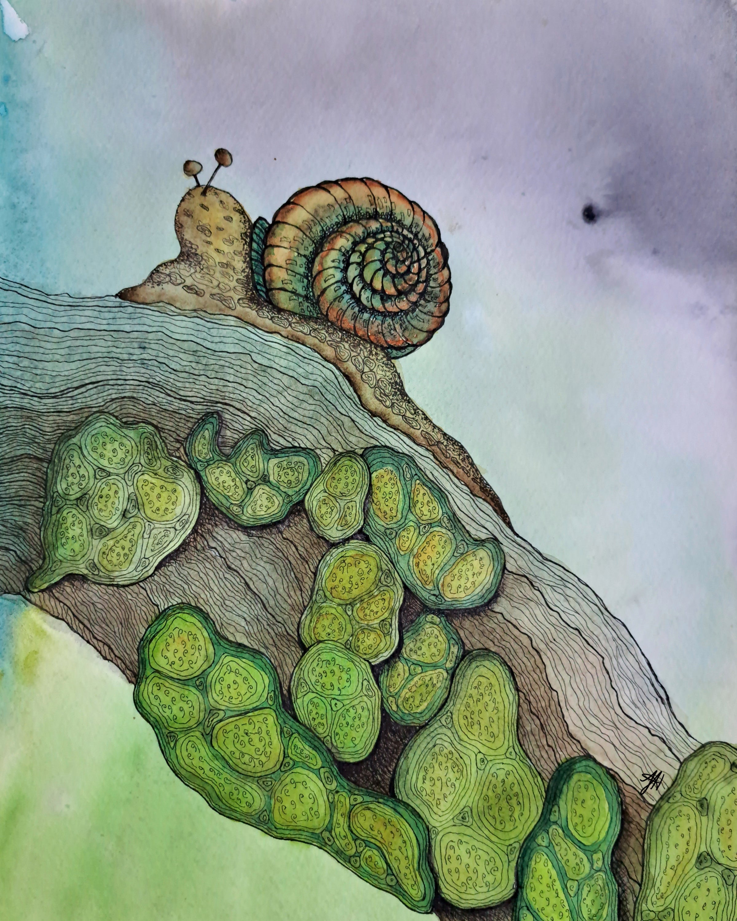 Colorful illustration of a snail on a branch with moss with a watercolor background.