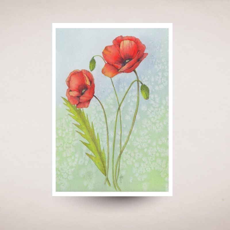 Art print of two red poppies on a textured light blue background
